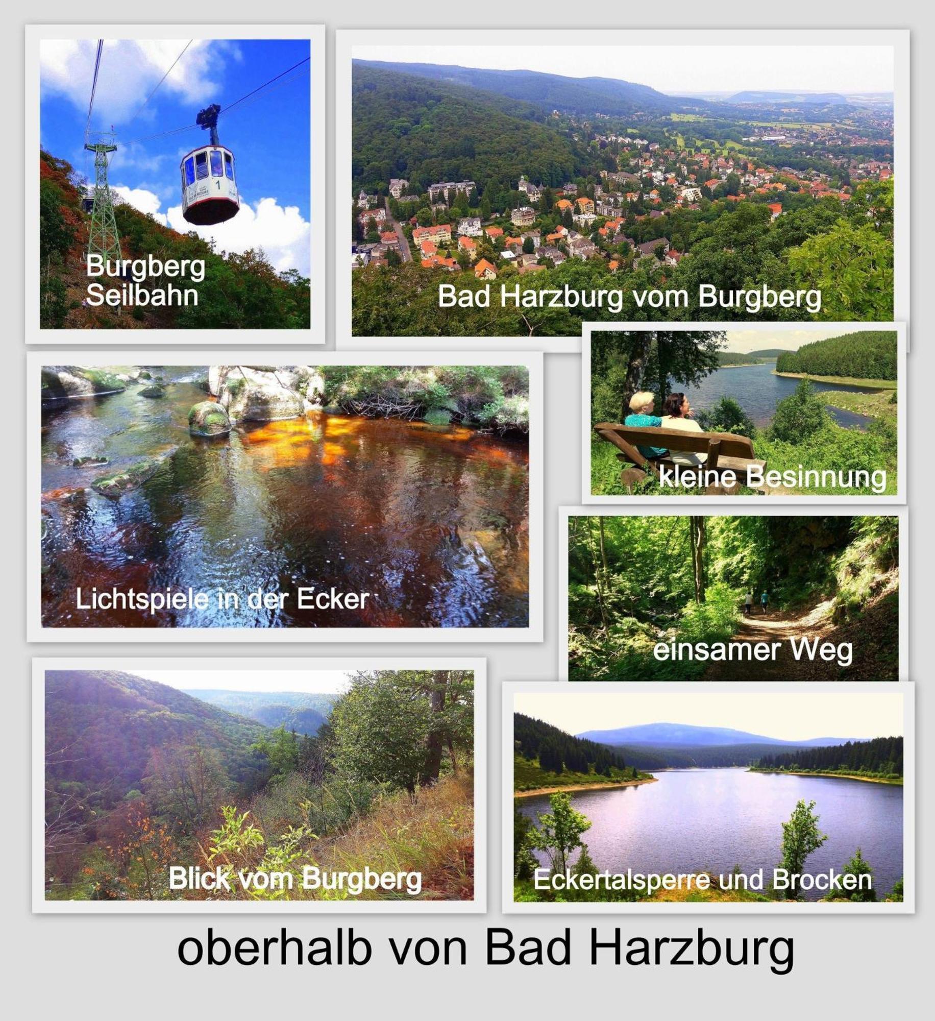 Fewo-Radau Bad Harzburg Exterior photo